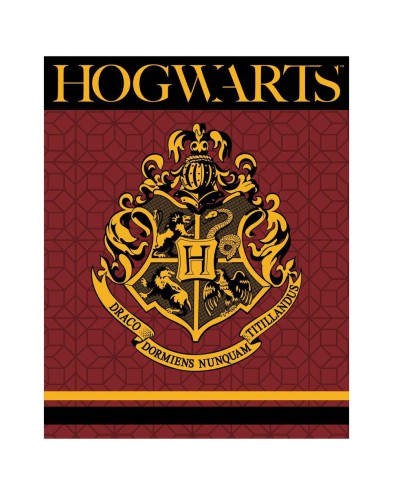 Caja Harry Potter con manta