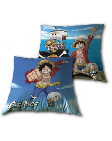 COJIN 35*35CM ONE PIECE 001