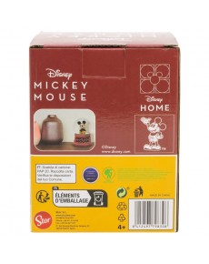 MICKEY SNOW GLOBE IN GIFT BOX